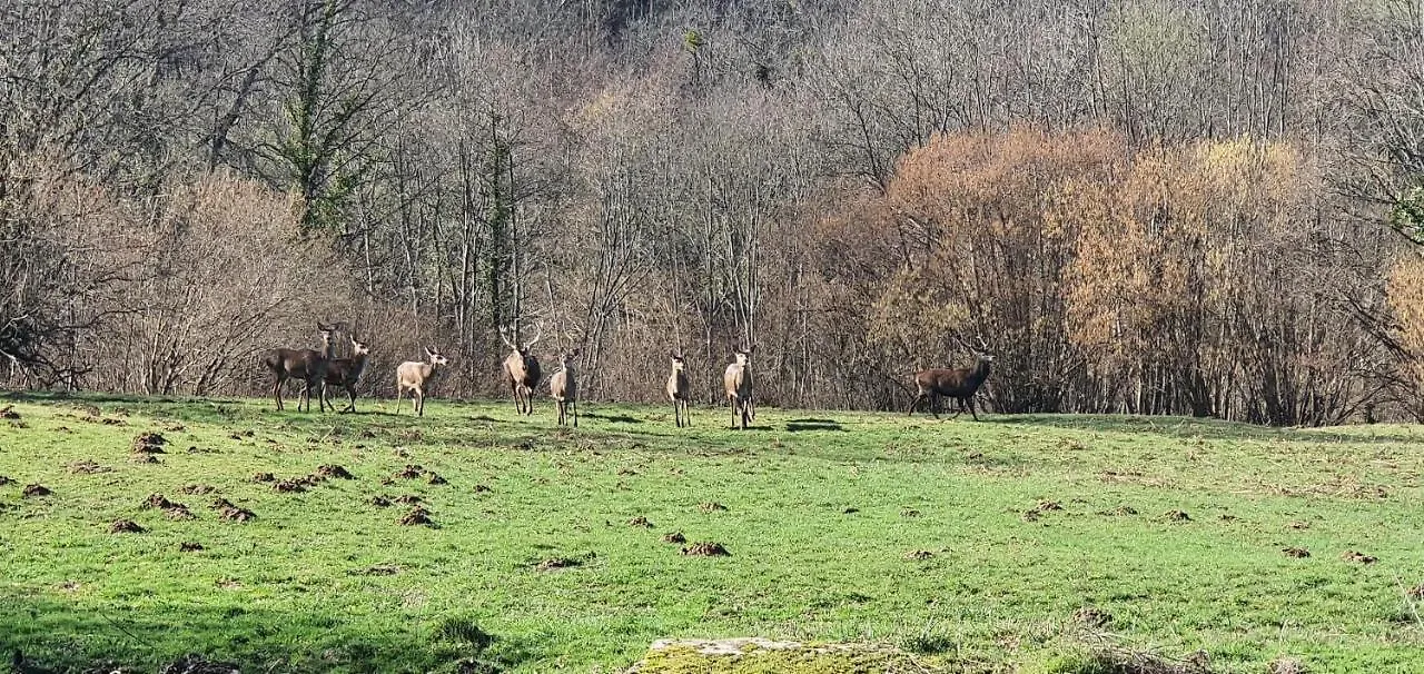 Le Chalet de Brassac Brassac